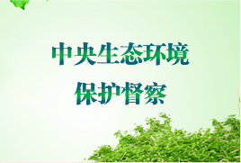 中央生態環境保護督察